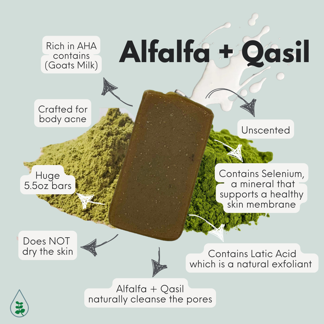 Qasil + Alfalfa